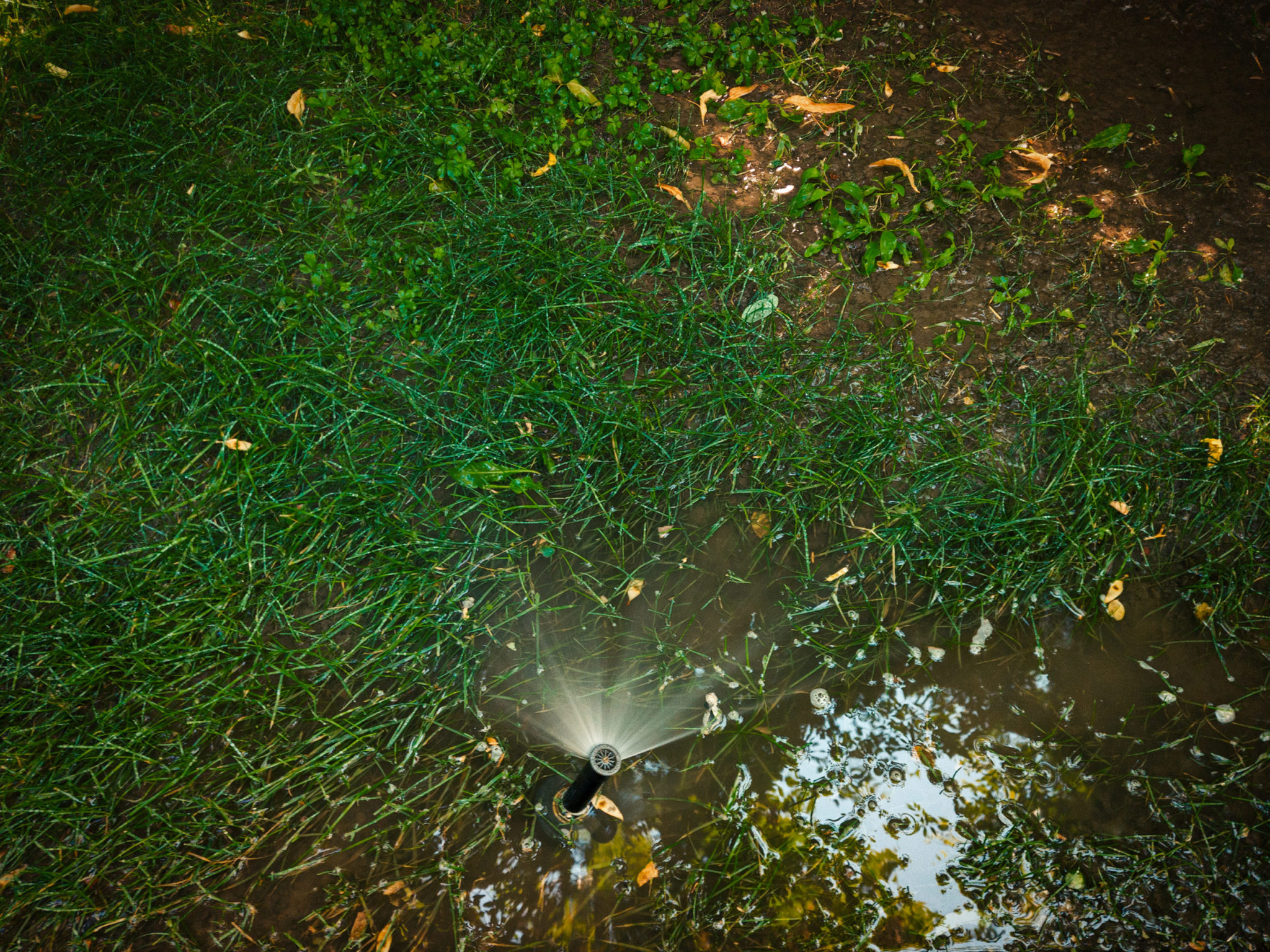 Sprinkler in park. Watering system with big puddle about on the ground with sparce grass